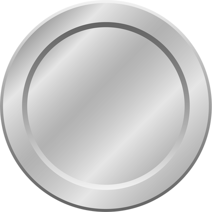 Silver Coin Icon         